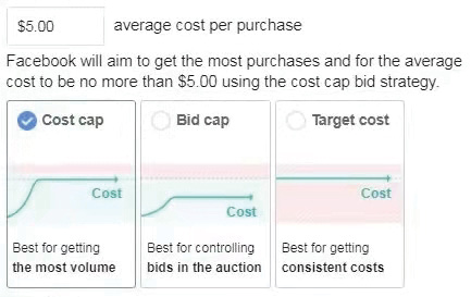 图9-14 Facebook广告智能投放的几种出价模式